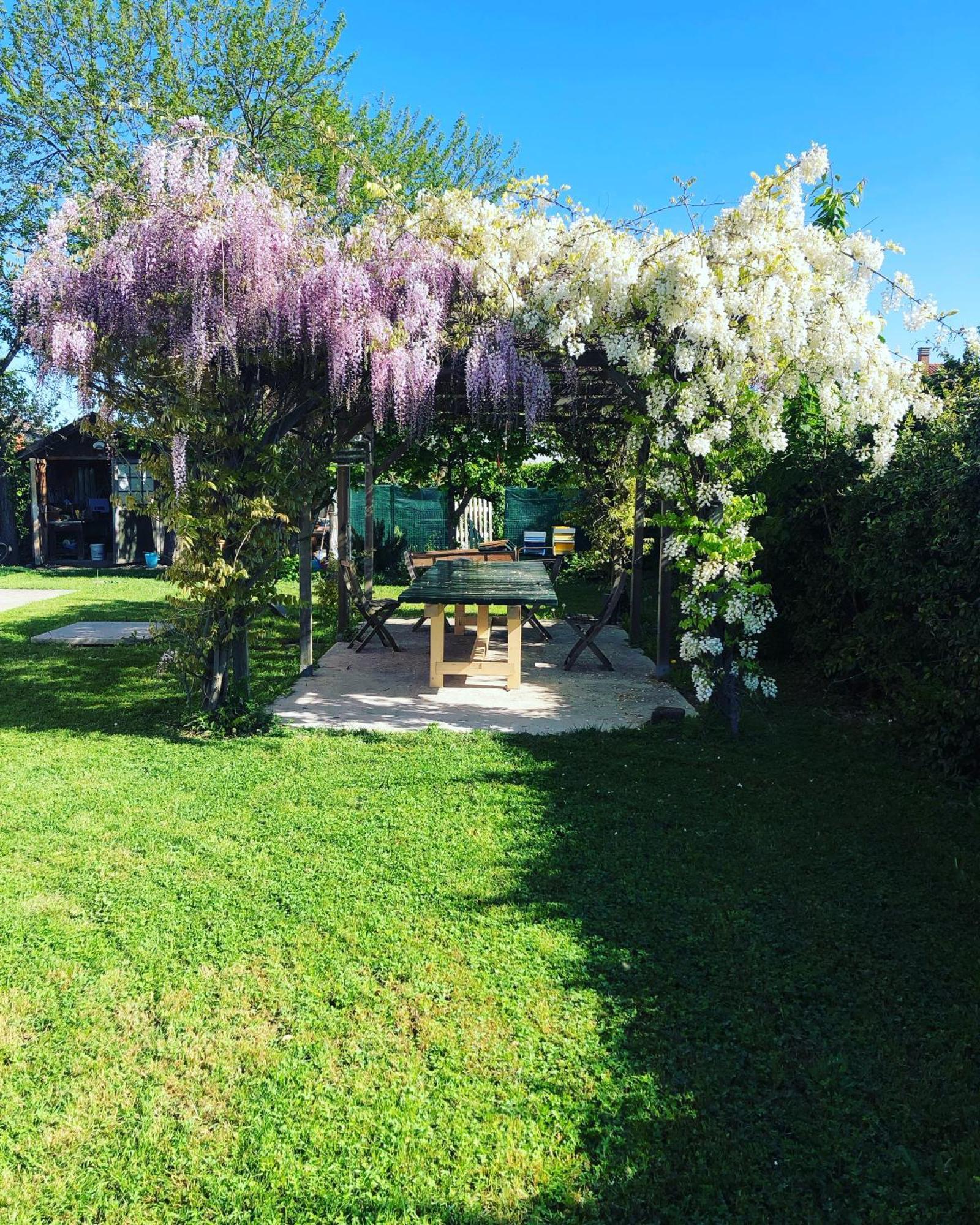 B&B Melloni Street Dolo Exteriör bild